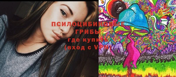 не бодяженный Богородск