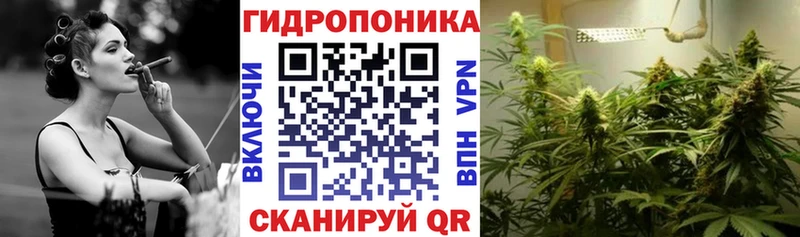 Шишки марихуана индика Чаплыгин